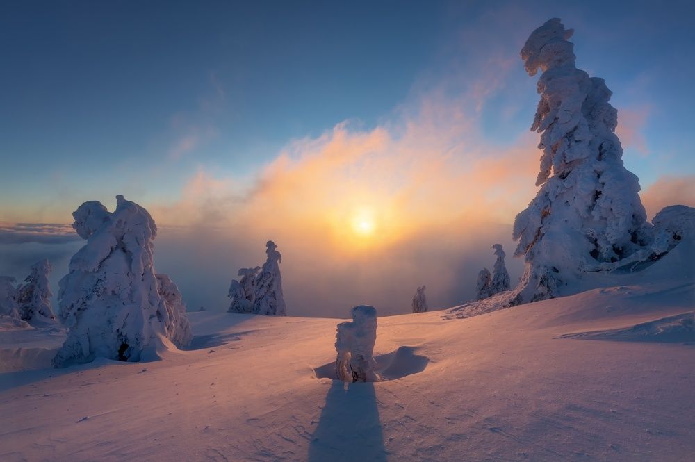 Photograph by Petr Fiala