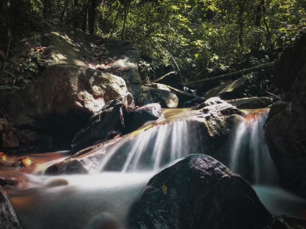 Thampana ~ Sri Lanka