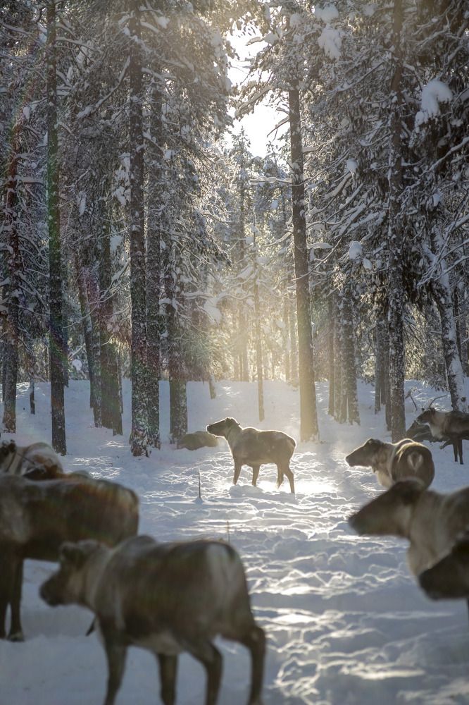 Photograph by Elena Kostochkina