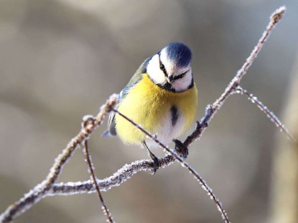 Photograph by Екатерина Мстиславская