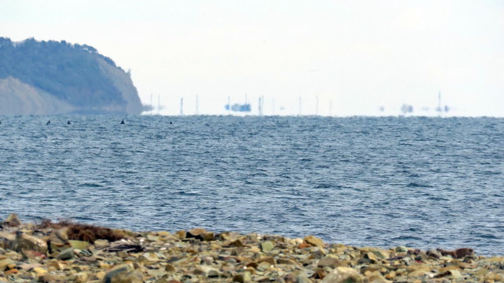 Photograph by Андрей