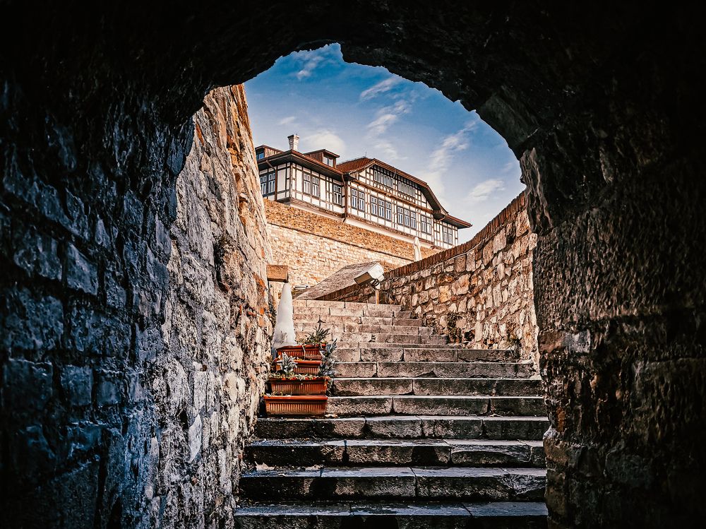 Photograph by Dragan Jekić