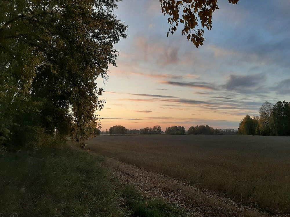 Photograph by Виталий Вяткин