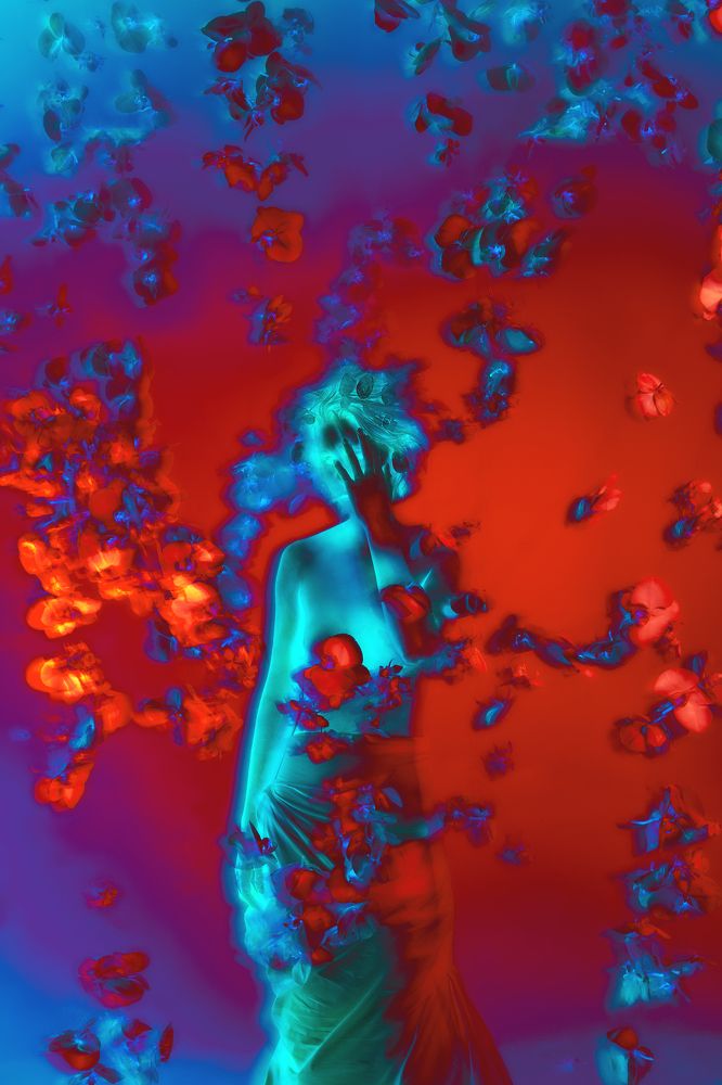 Photograph by Alexander Kaunas