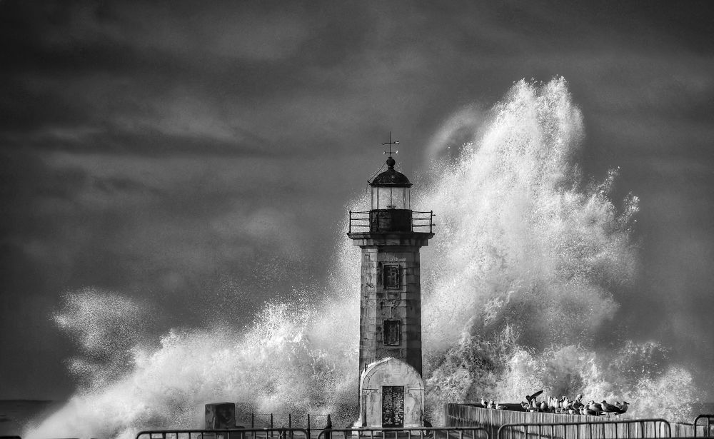 Фотография автора Nuno Pacheco