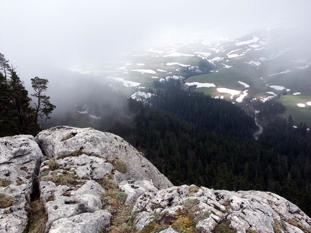Photo #5822526