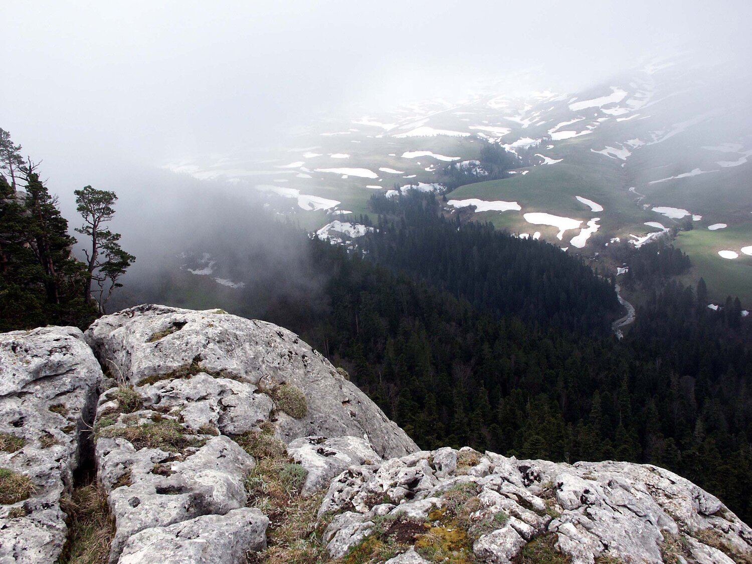 Photo #5822526