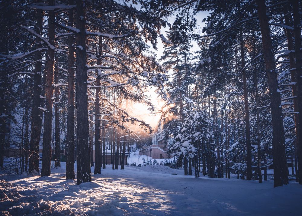 Photograph by Djordjo Iric