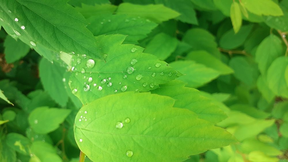 Photograph by Елена Лещева