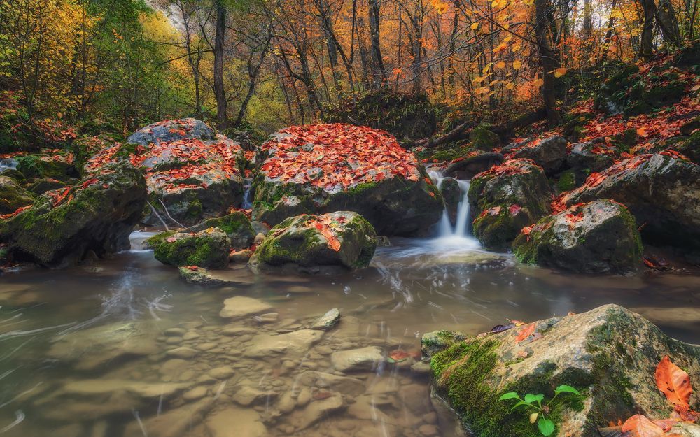 Насорил октябрь листьями...