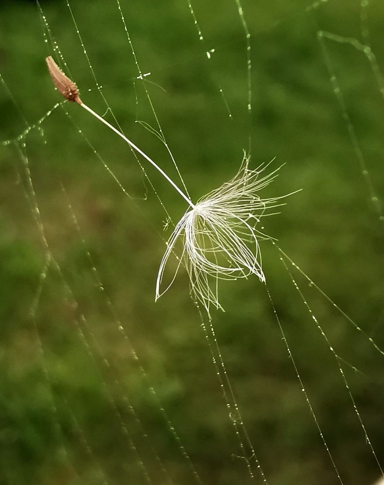 Photograph by Евгения Лушенкова