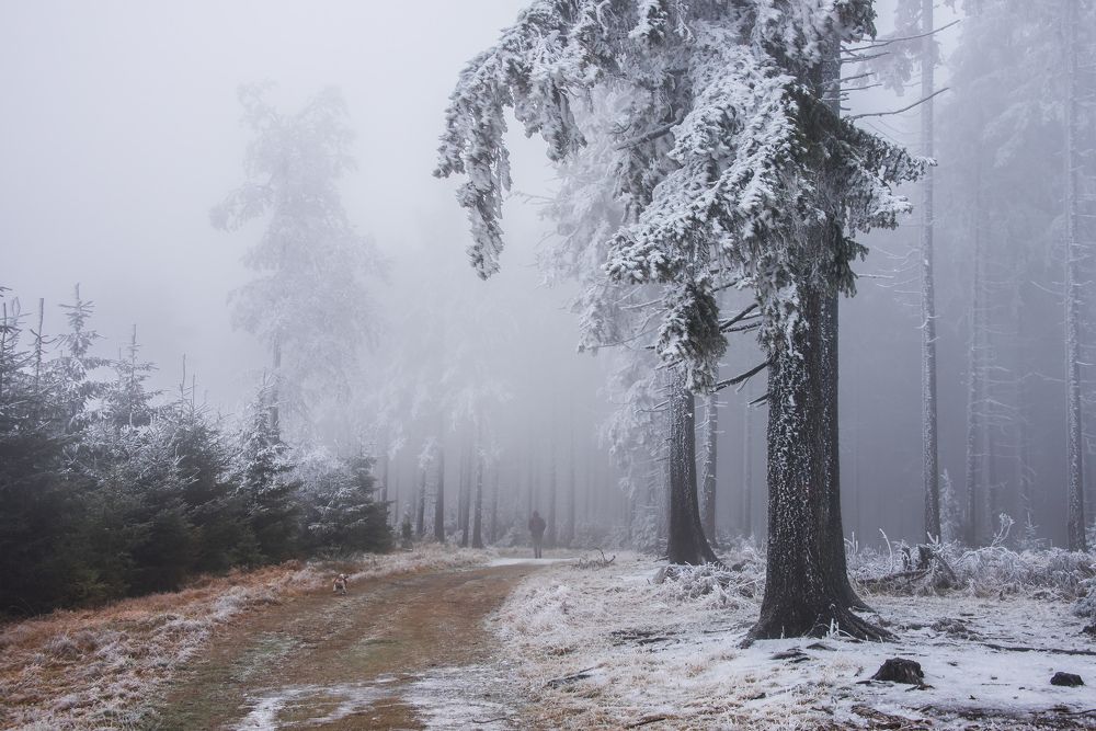 Photograph by Renata Łacina