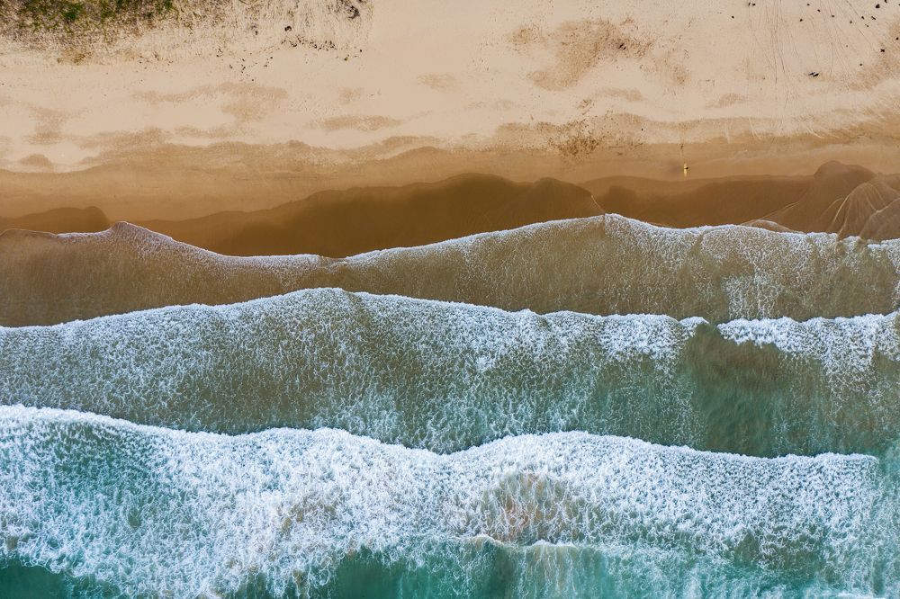 The strength and patience