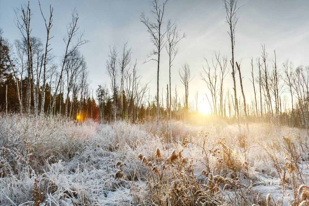Photograph by Денис Соловьёв