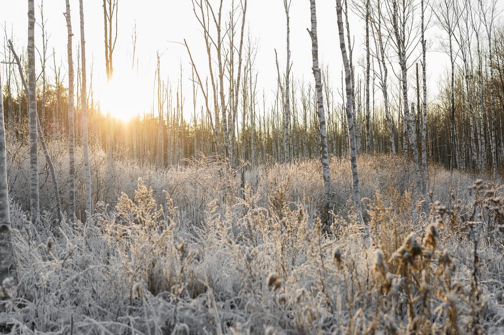 Photograph by Денис Соловьёв