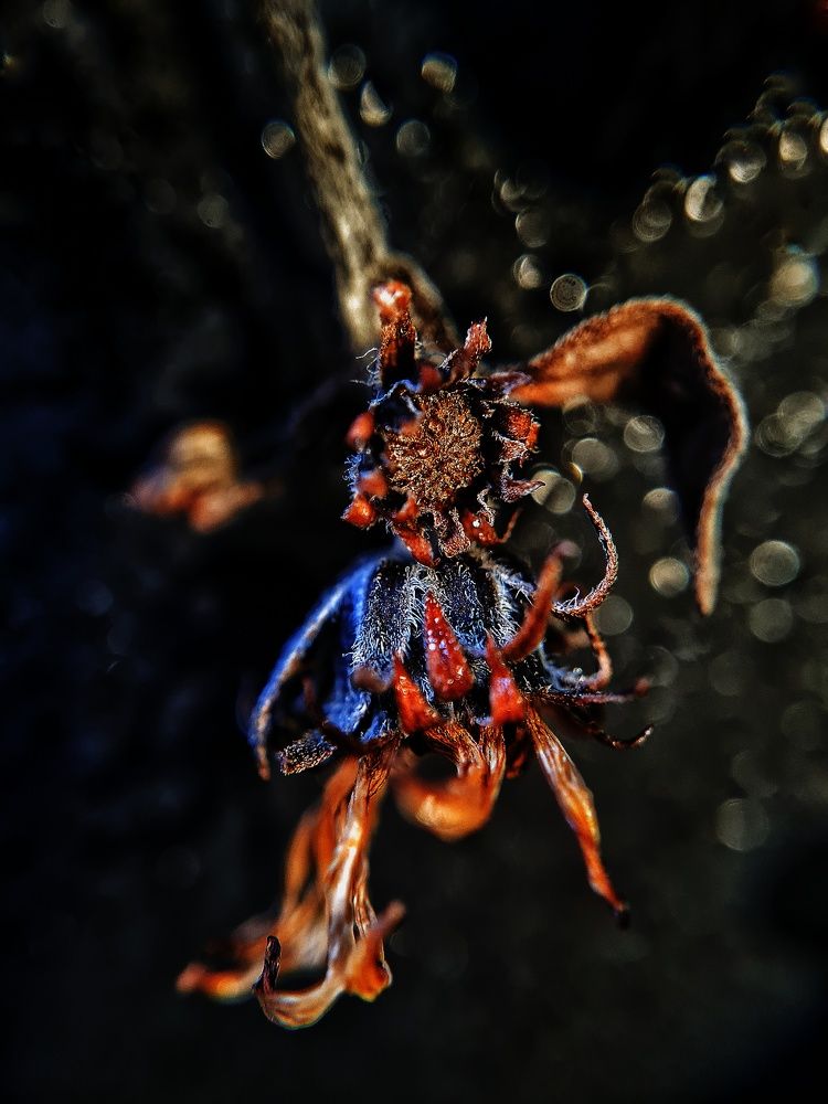 Photograph by Ольга Веселова