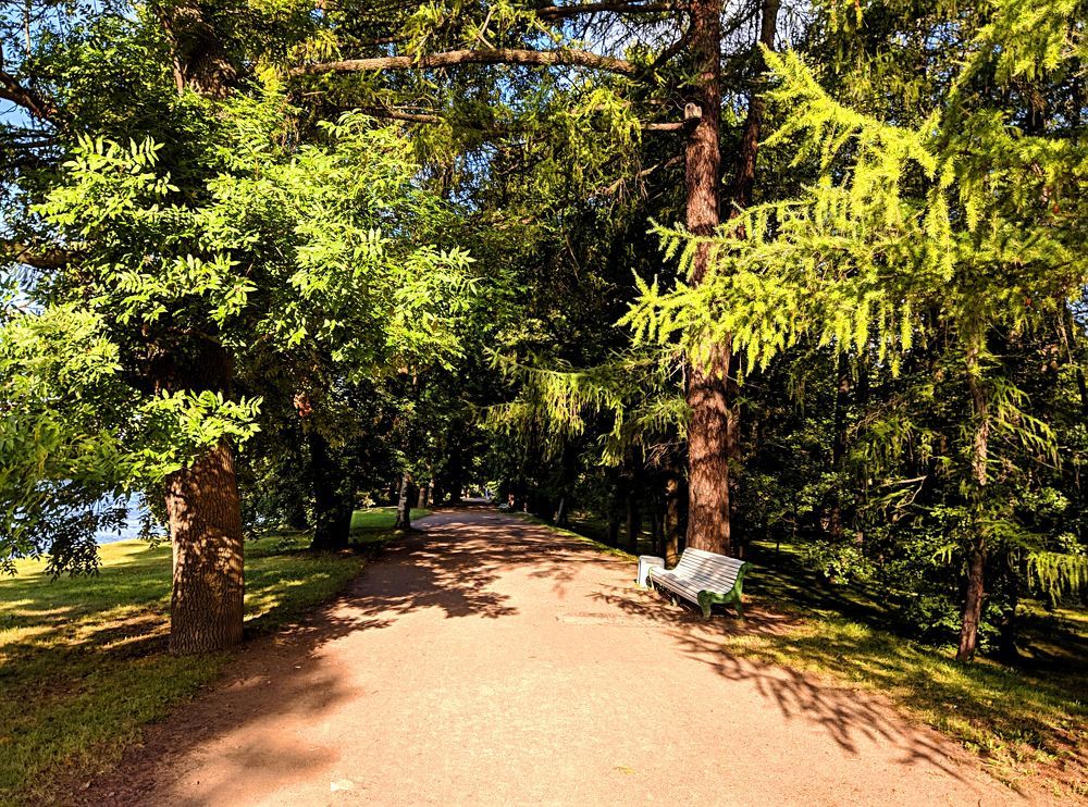 Photograph by Александр Пинаев