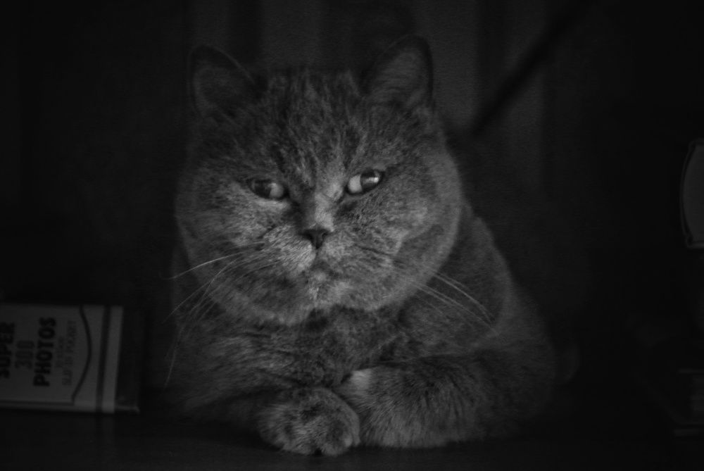 Photograph by Павел Стаценко