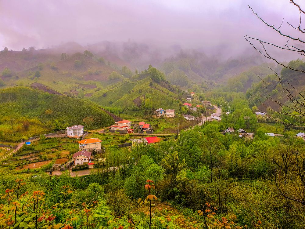 Photograph by Milad Nik fard
