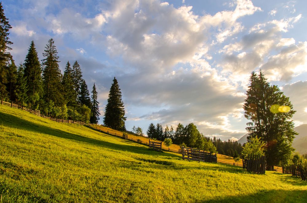 Photograph by Писаренко Оля