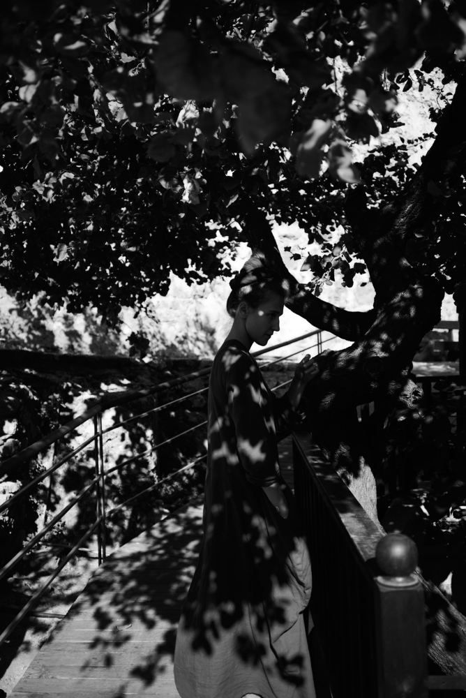 Photo #5822755