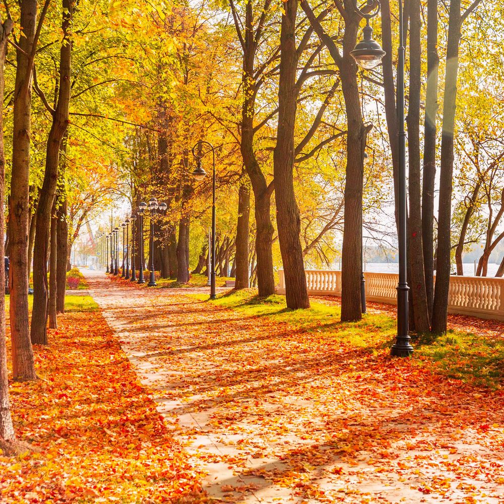 Photograph by Шувалова Мария