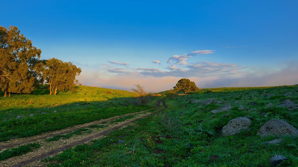 Photograph by Alexander Leshinsky