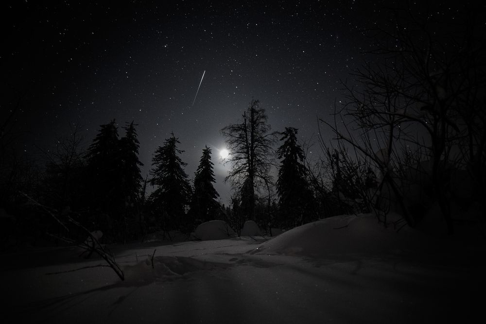 Ночь в тайге