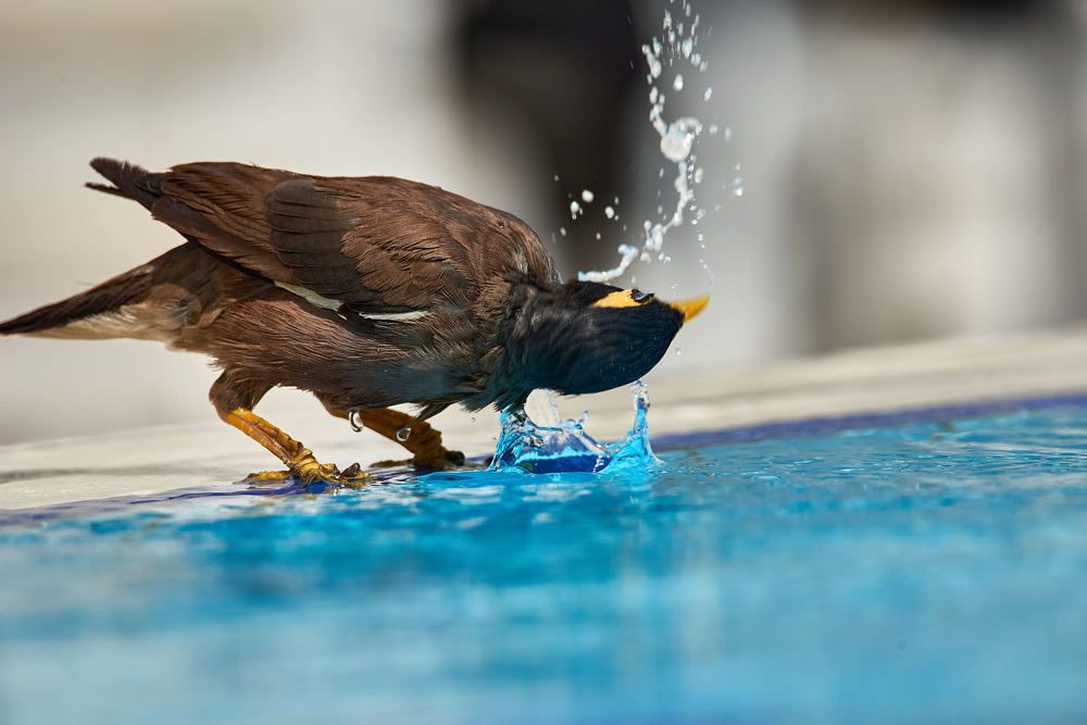 Photograph by Alexander Leshinsky