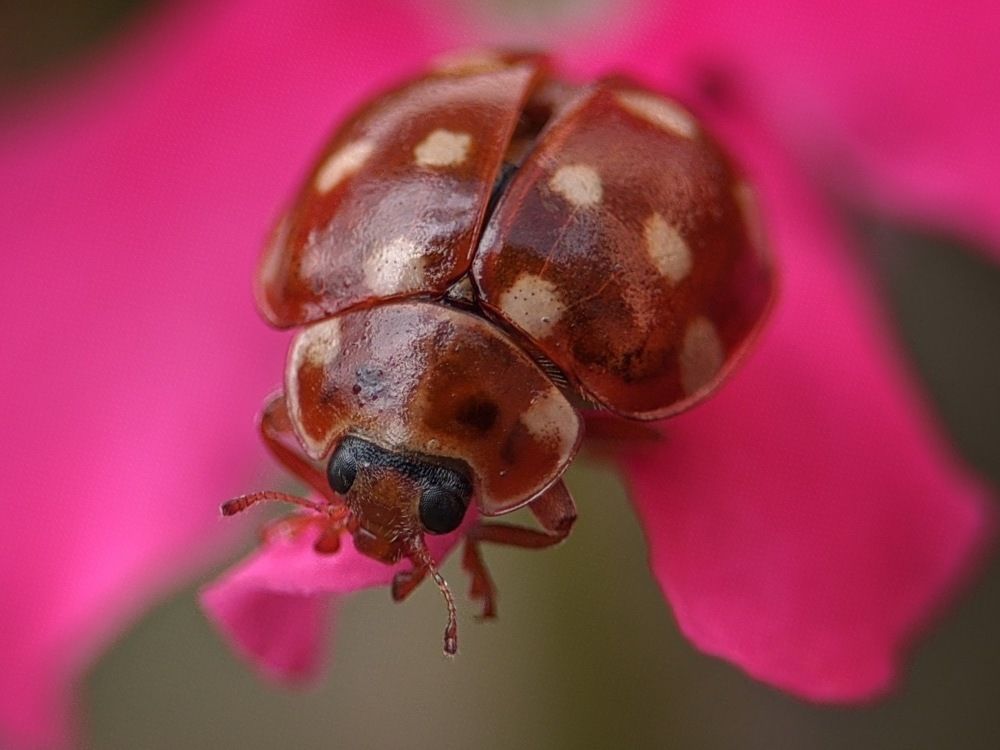 Photograph by Юлия Локтева