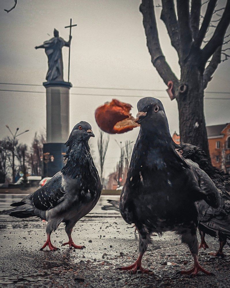 Photograph by Петр