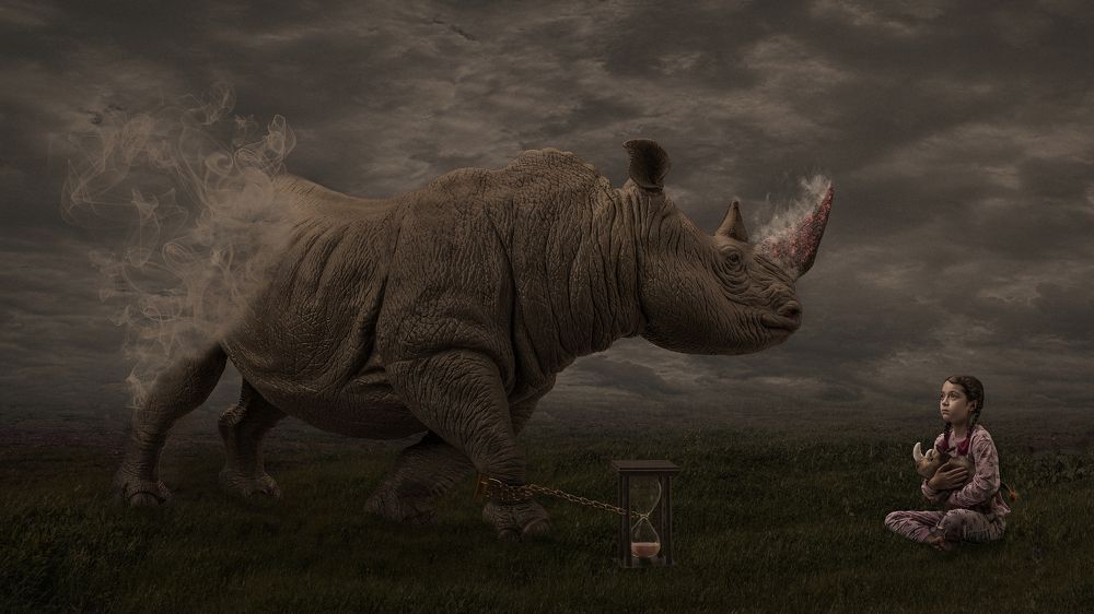 Фотография автора Peter Rooney