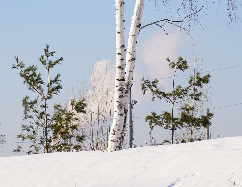 Photograph by Блюмина Елена