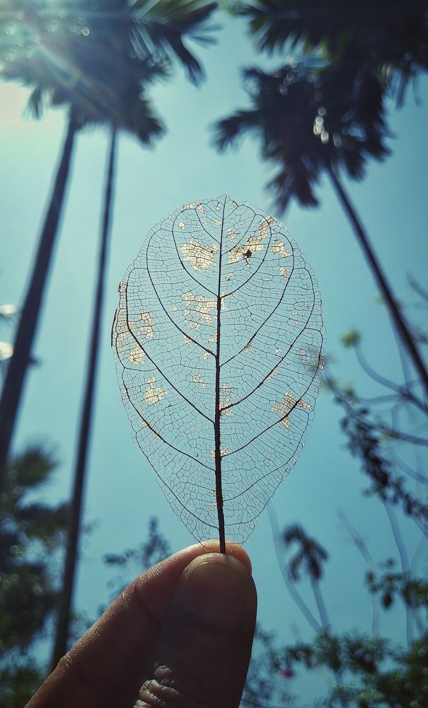 Photograph by Sourav Mondal