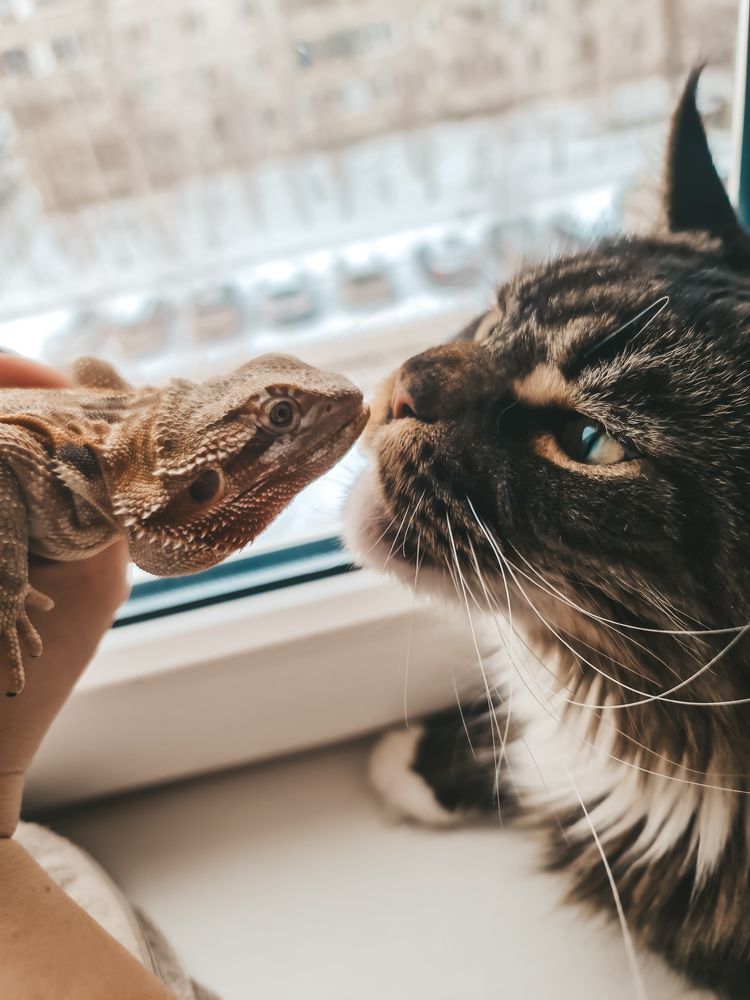 Photograph by Екатерина Фурсова