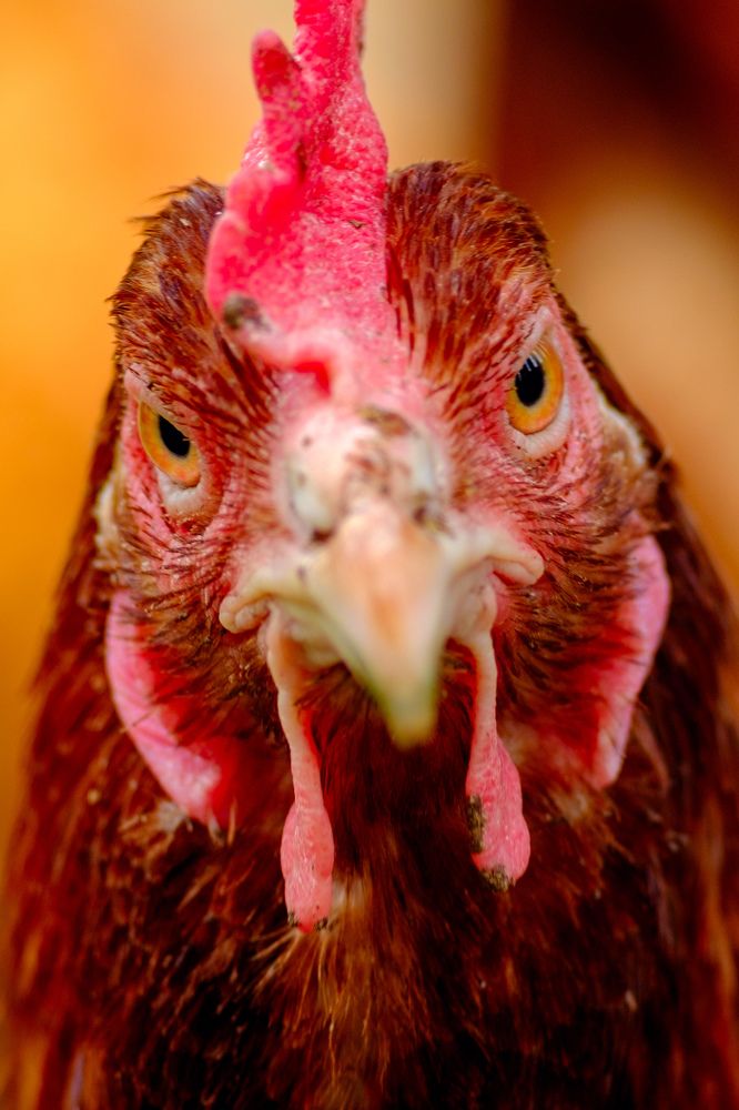 Photograph by Сергей Бобров