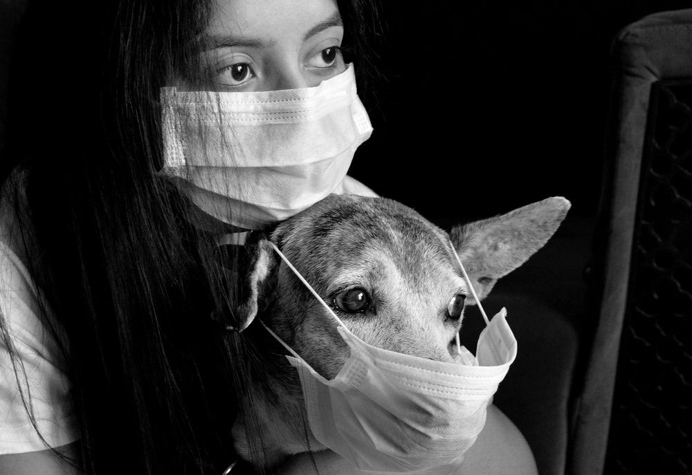 Photograph by Dinesh Parab