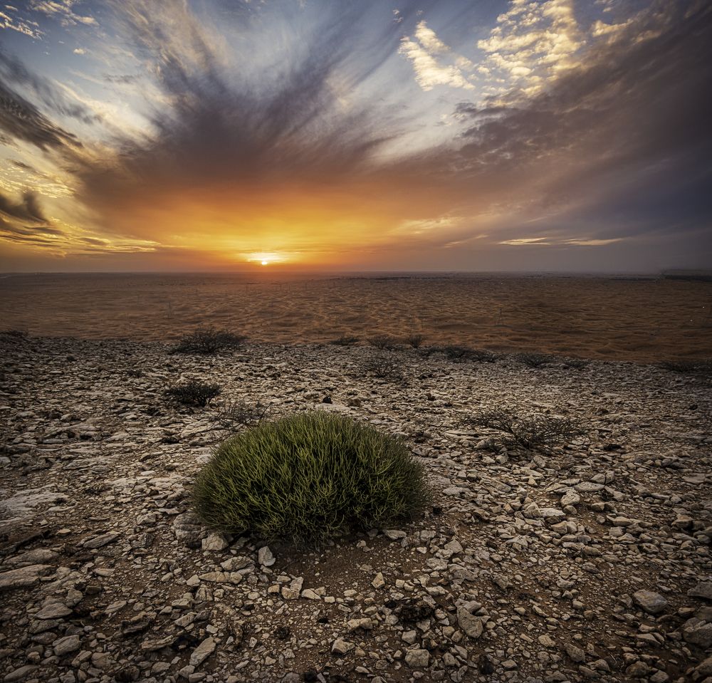 Photograph by Pedro Cunha