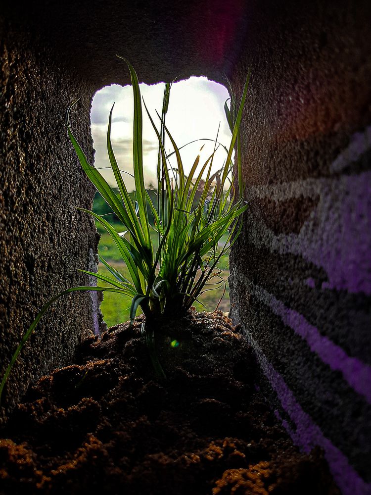 Photograph by Tobi Emmanuel