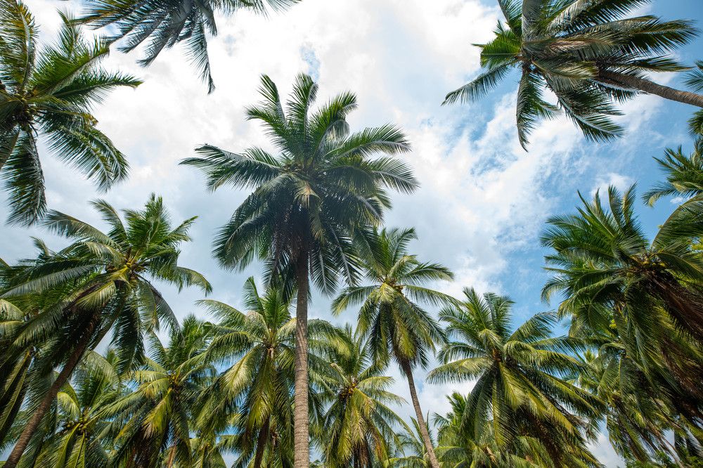 Photograph by Алексей