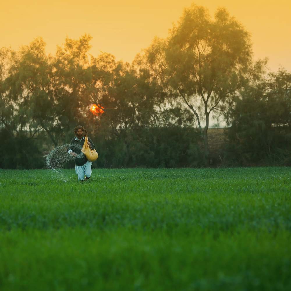 A real heroes of our world