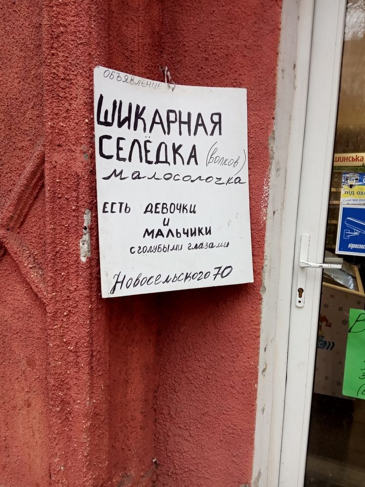 Объявление с голубыми глазами