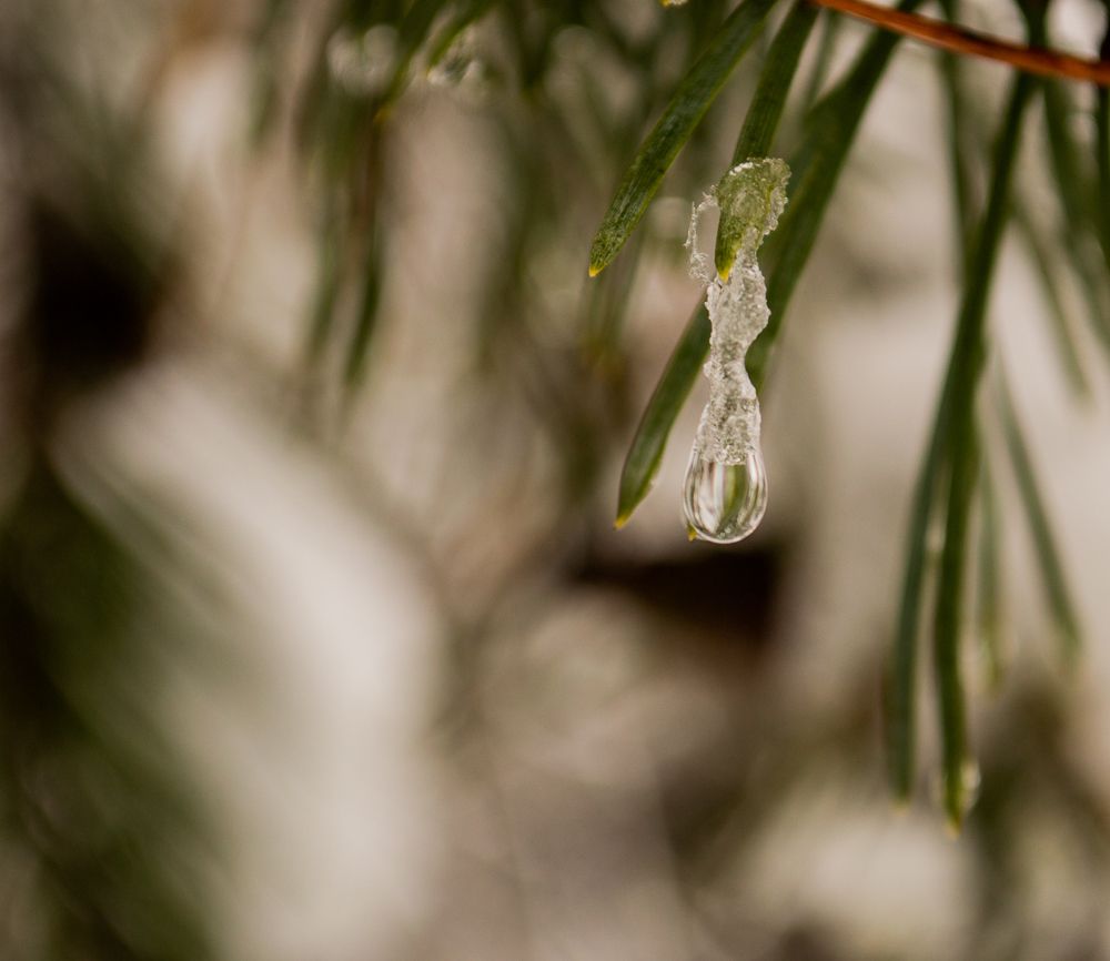 Photograph by Анастасия Литвинова