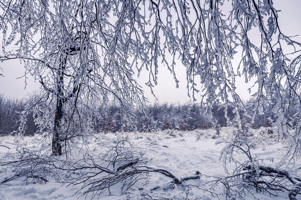 Фотография автора Matej Kotula
