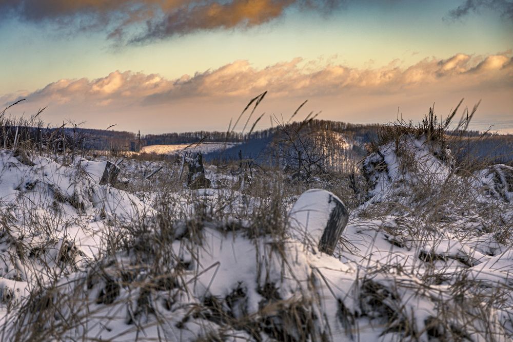 Фотография автора Matej Kotula