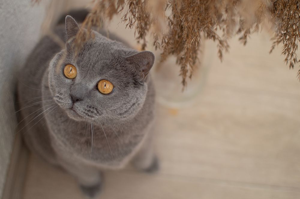 Photograph by Оксана Смирнова