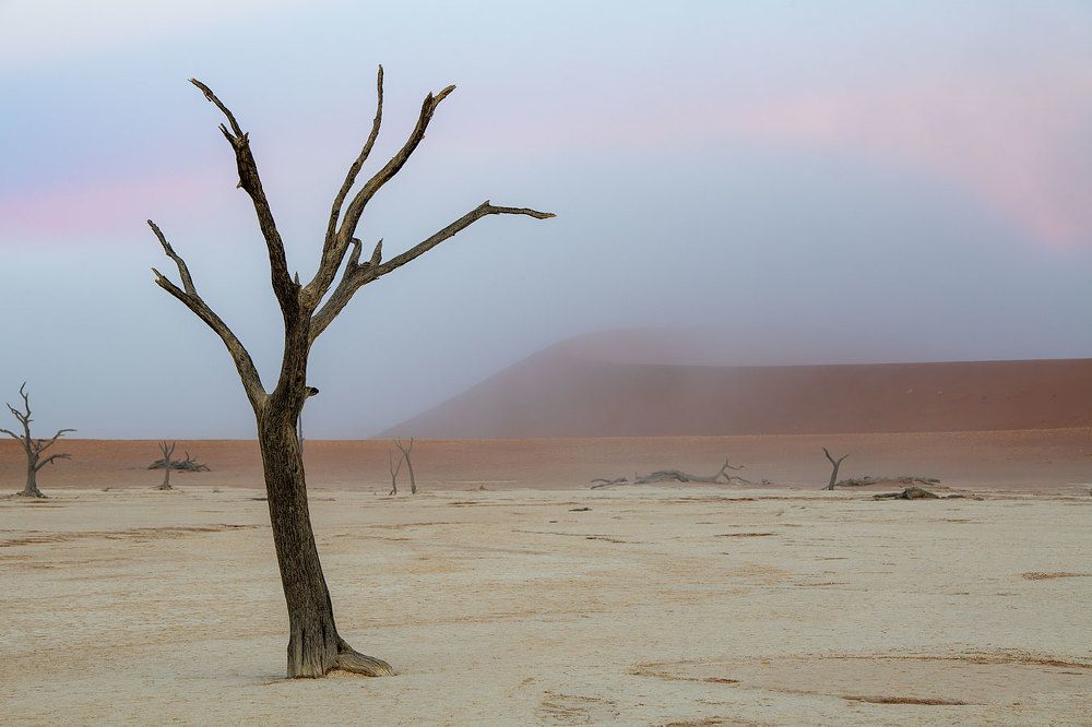 Photograph by Евгений Бушков