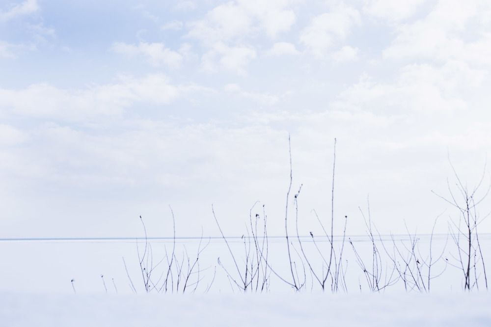 Photograph by Светлана Барановская