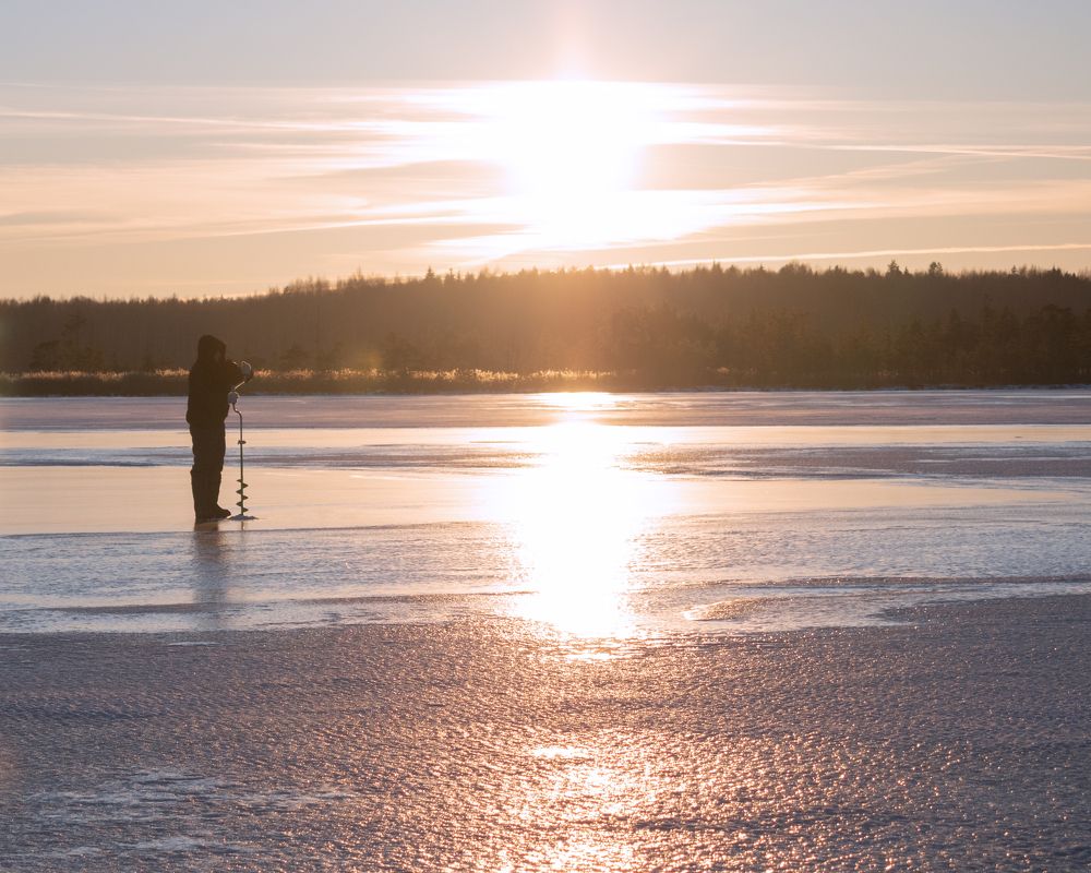 Photograph by Зоя