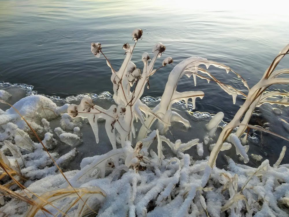 Photograph by Александр Карпенко